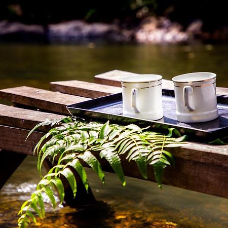 The Creek Coorg Daire Ponnampet Dış mekan fotoğraf