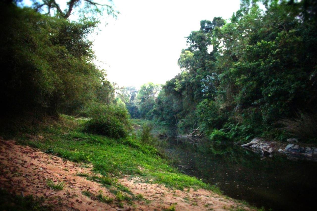 The Creek Coorg Daire Ponnampet Dış mekan fotoğraf