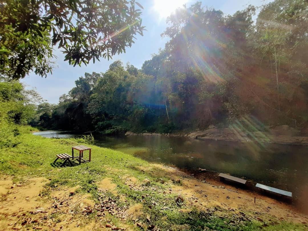The Creek Coorg Daire Ponnampet Dış mekan fotoğraf